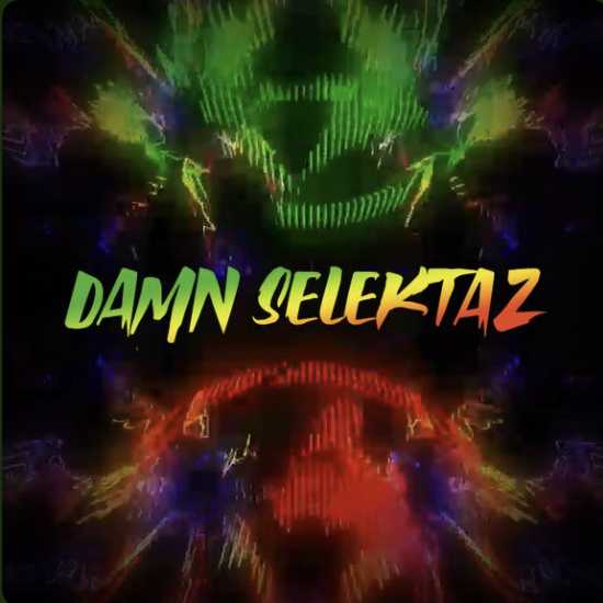 Damn Selektaz Mix by Damn Right